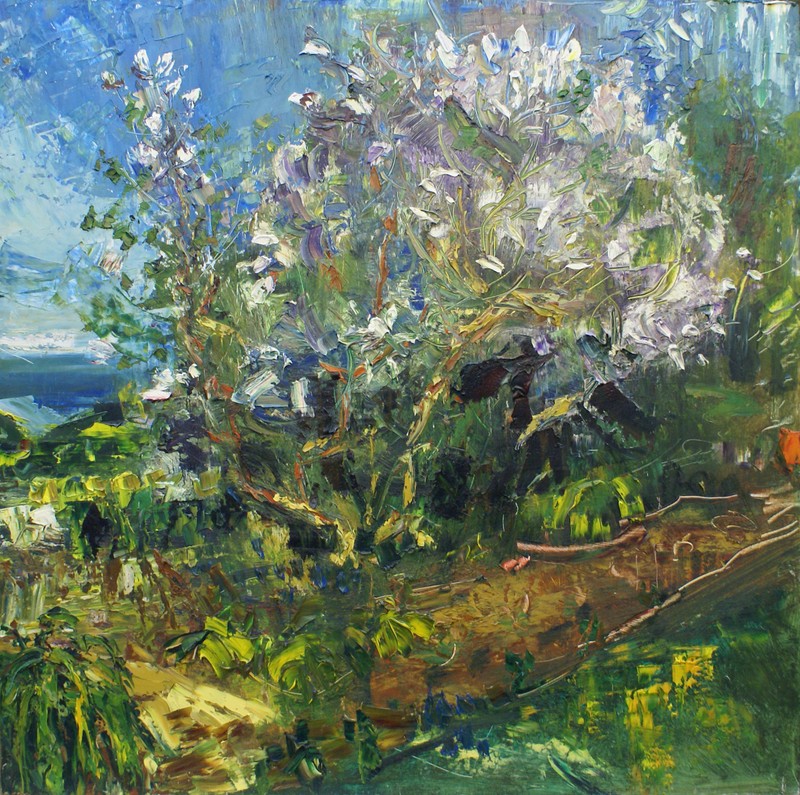 Lilac trees in blossom      oil on board     122x122cms    2011.jpg