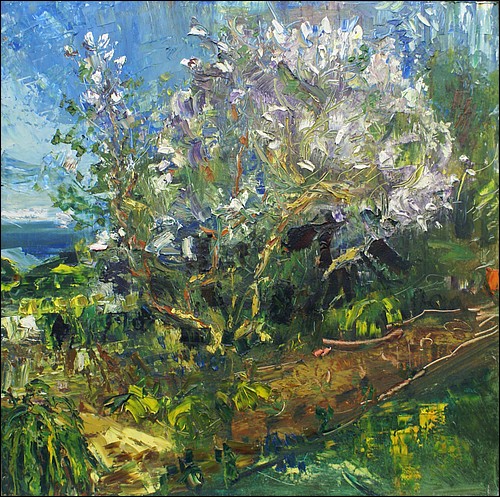 Lilac trees in blossom      oil on board     122x122cms    2011.jpg